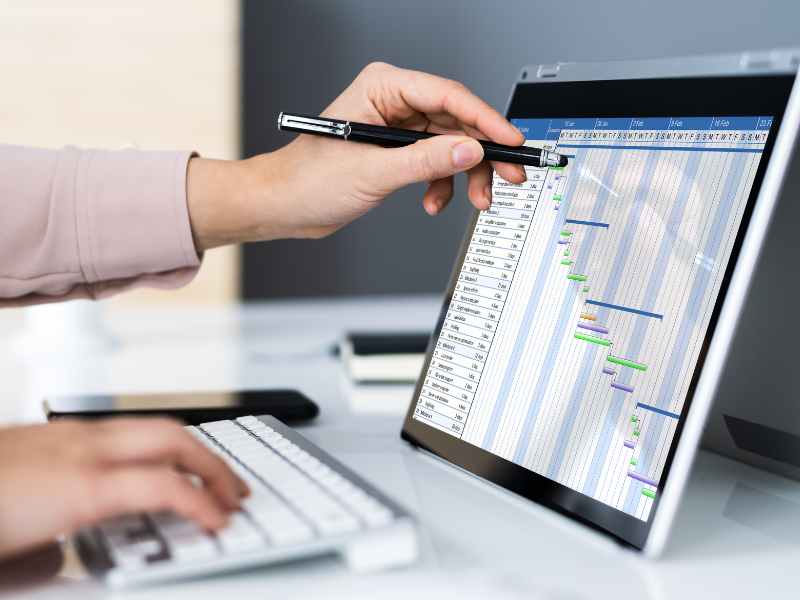 Project Management Consultancy